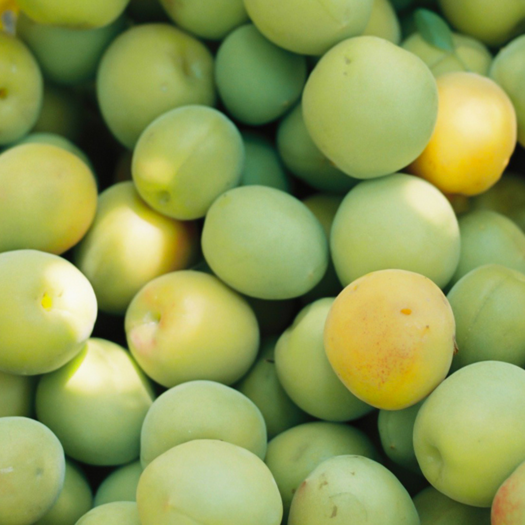 UMEスパークリングウォーター