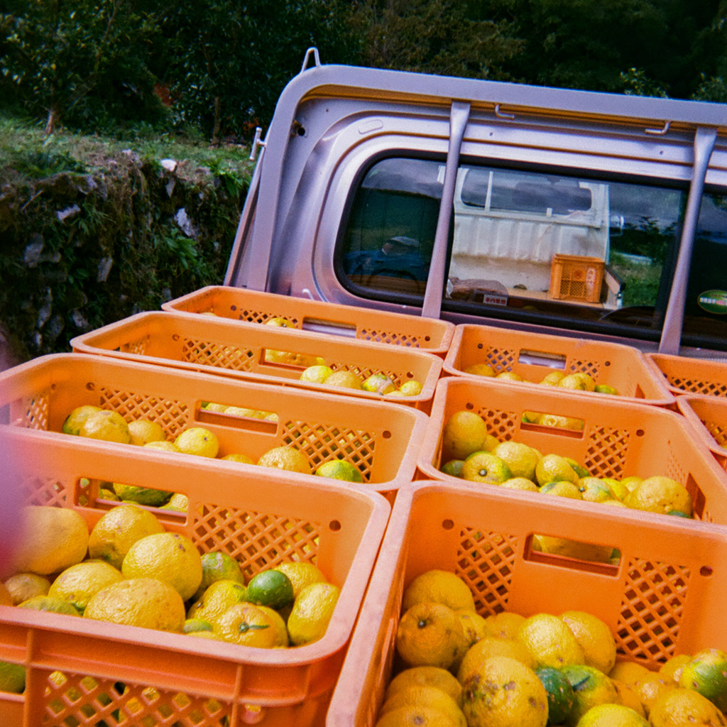 YUZUスパークリングウォーター