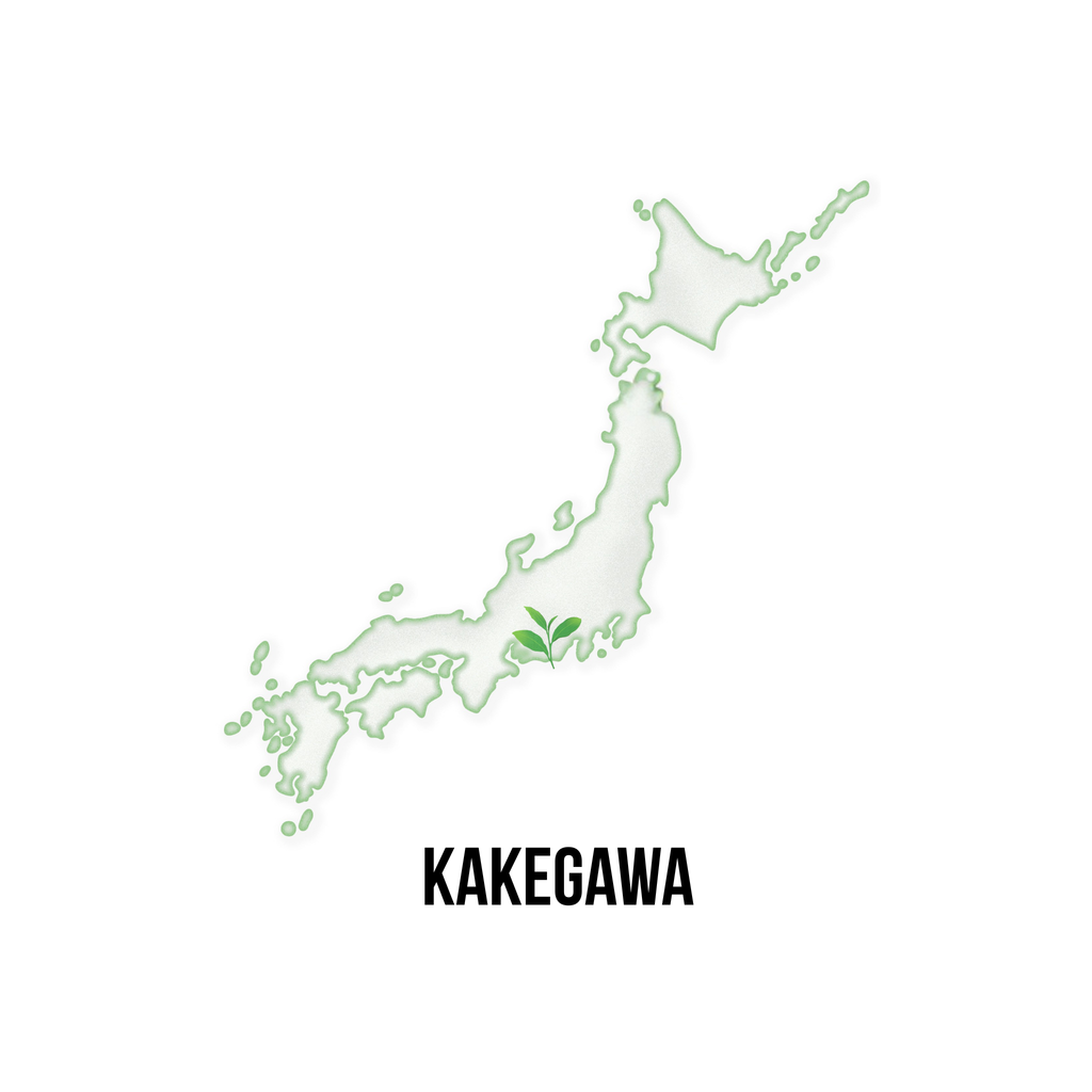 MOMOスパークリングジュース