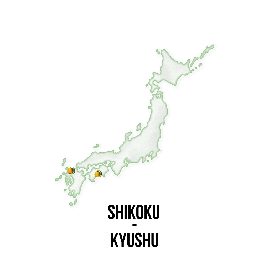 YUZUスパークリングウォーター