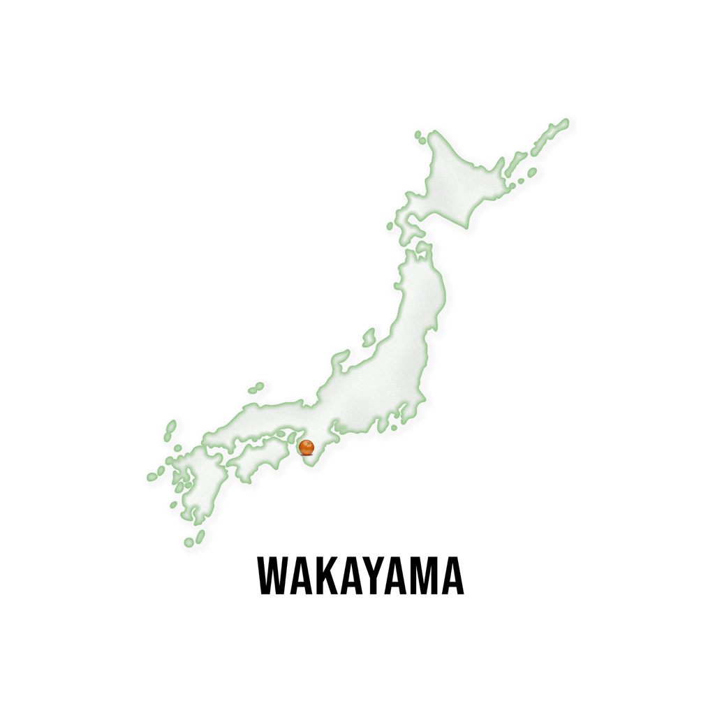 MIKANスパークリングジュース