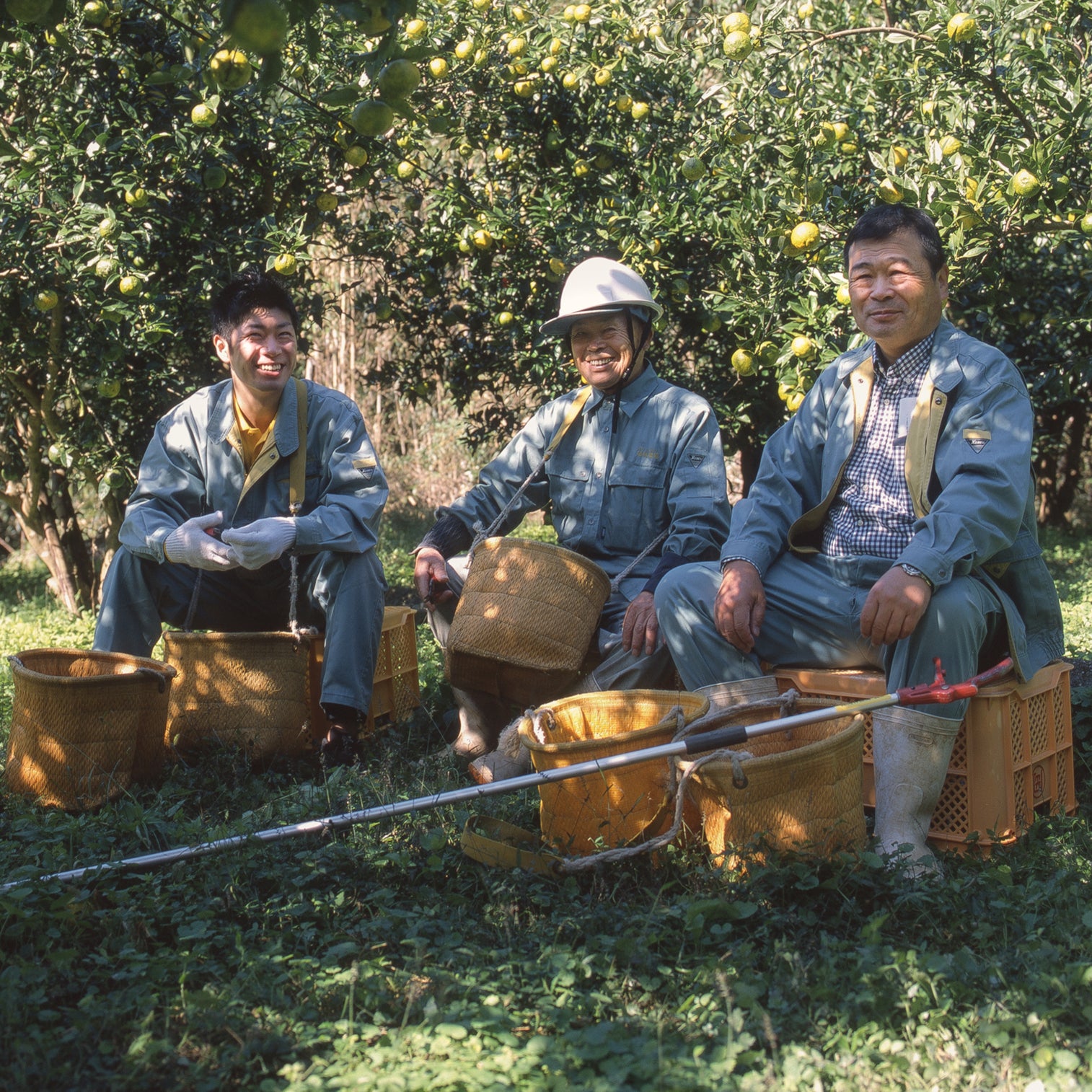 Kimino beverage collage