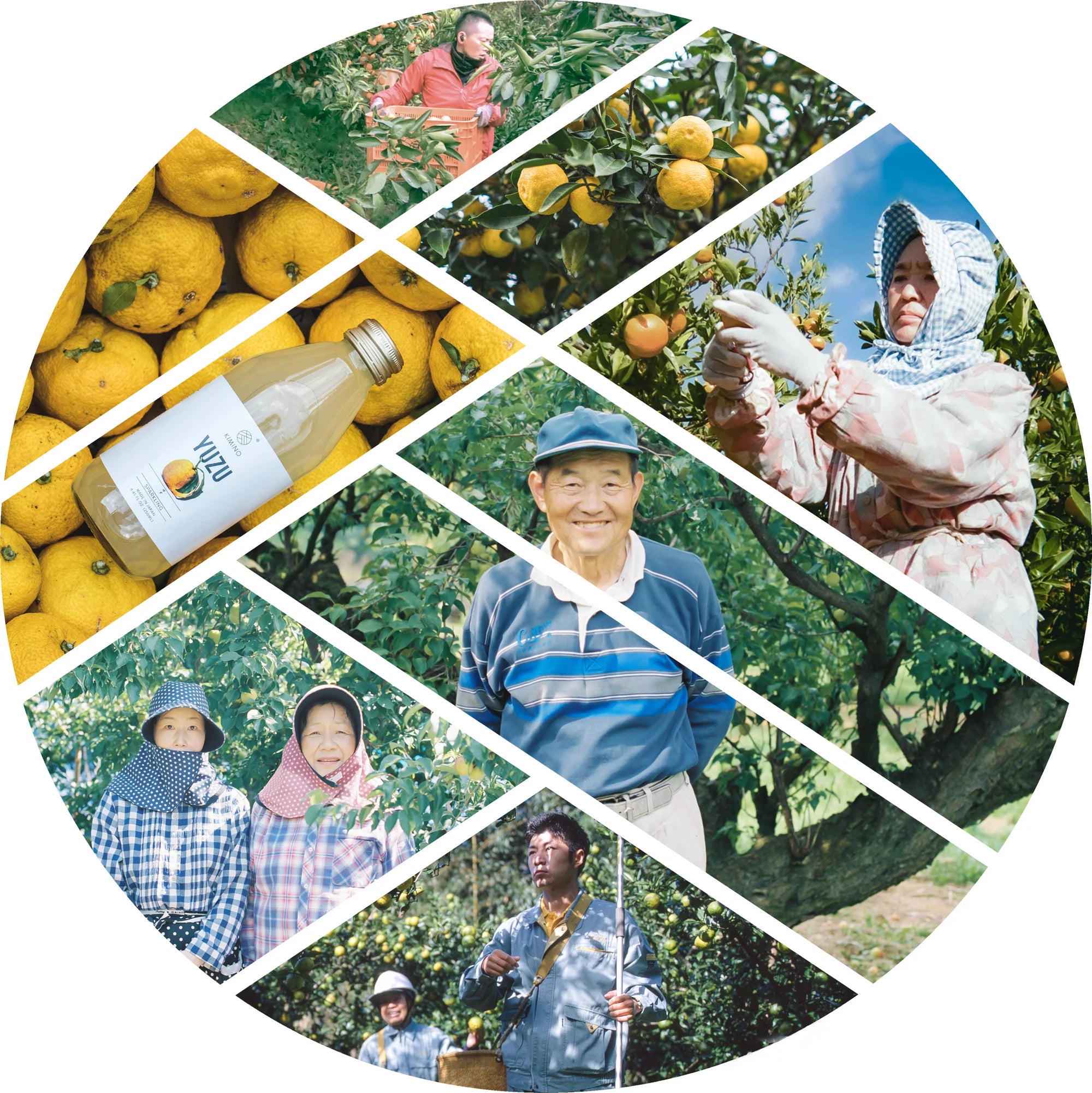 Kimino beverage collage
